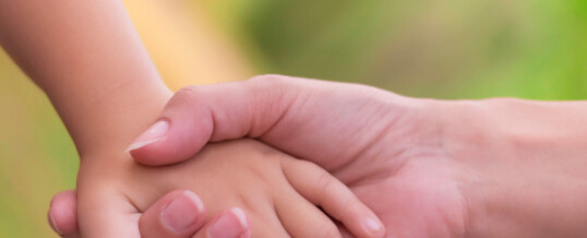 Your Expert in Family Law