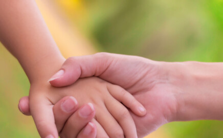 Your Expert in Family Law